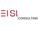 EISI Consulting