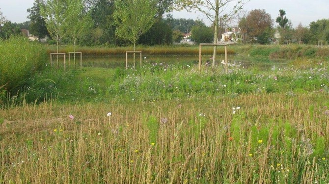 Le parc du moulin
