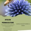 image de l'événement : Culture et vous : Atelier permaculture