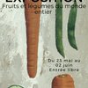 image de l'événement : Exposition Fruits et légumes du monde entier de Martin Jarrie