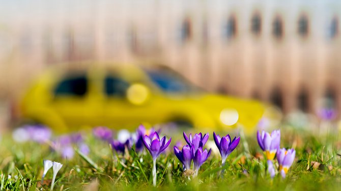 La gestion différenciée des espaces verts