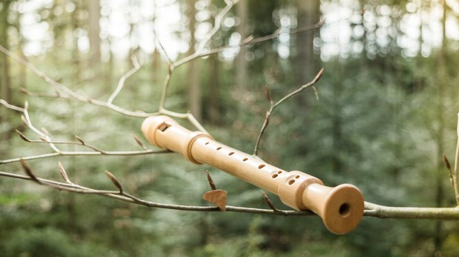 Bain de Forêt Musical