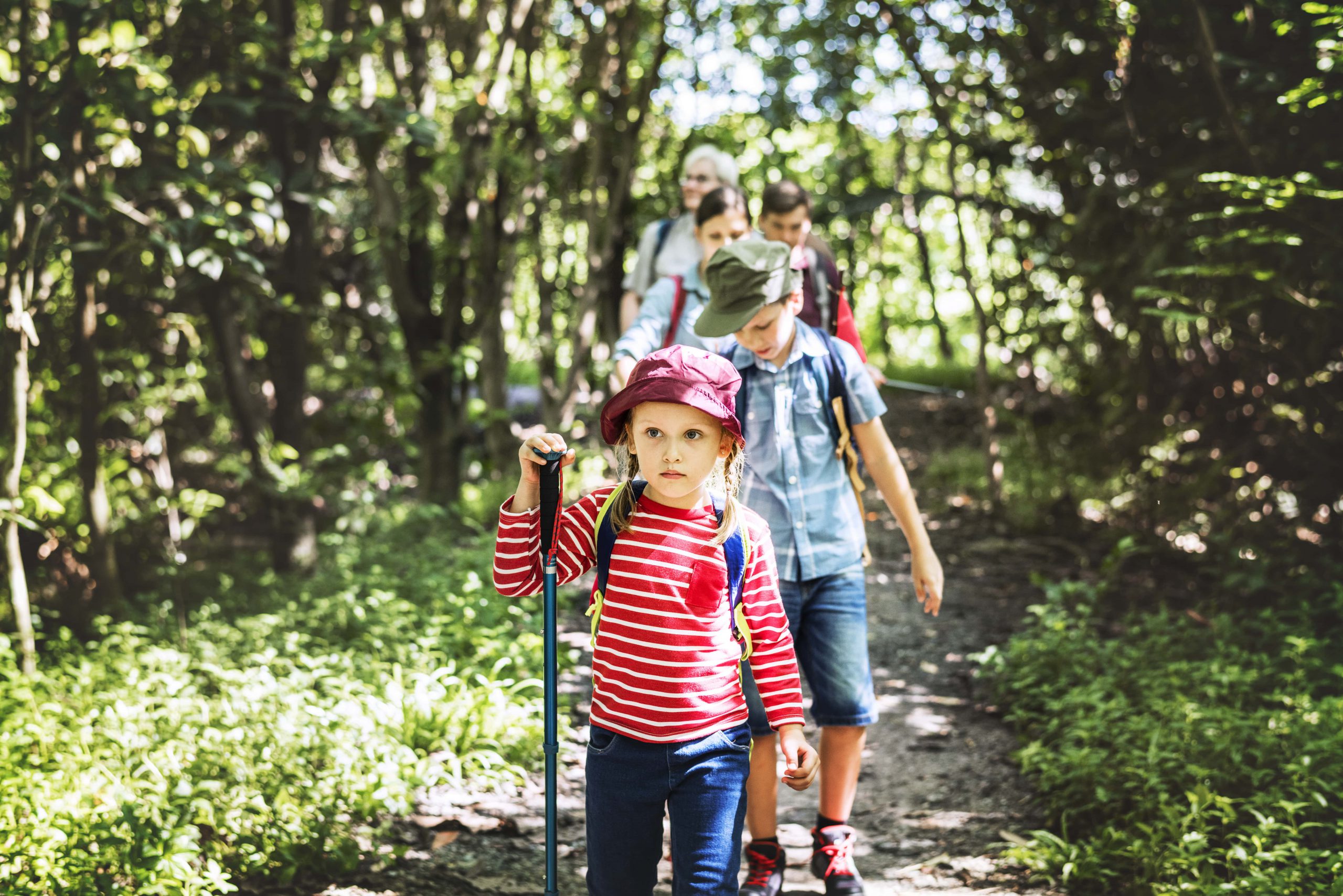 Promenade en forêt