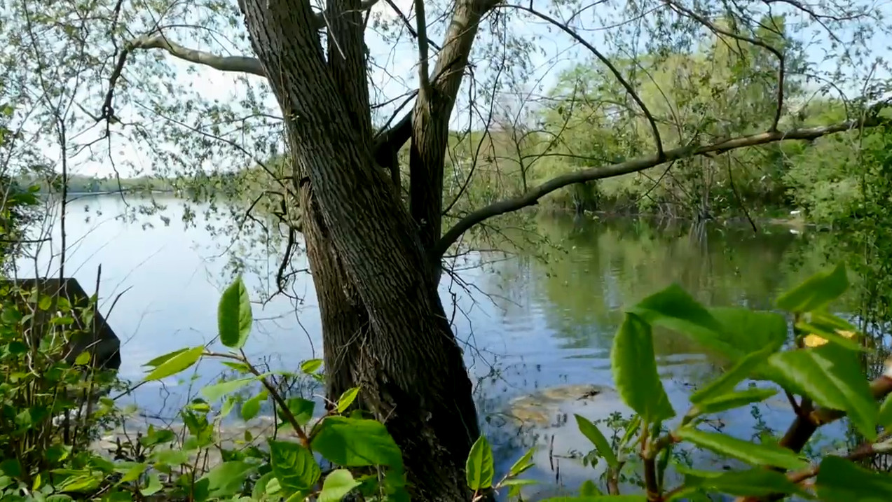 Vidéo : Vigneux-sur-Seine : la dépollution du lac a commencé