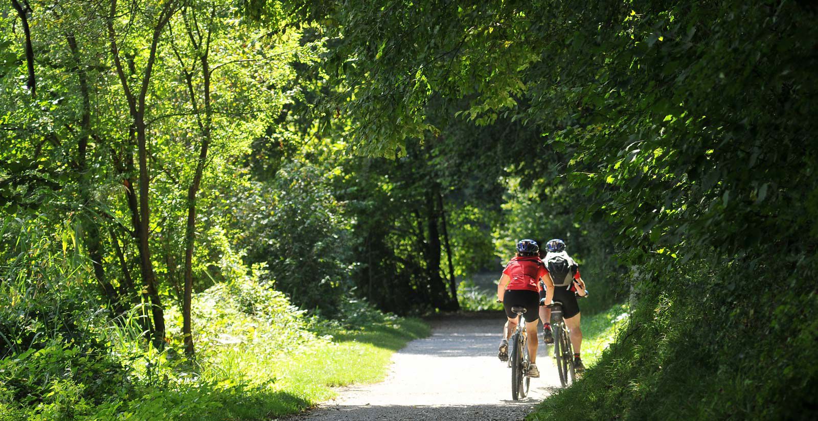 Base VTT en forêt de Sénart - Communauté d'Agglomération Val d'Yerres Val de Seine