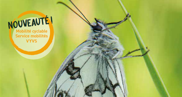 Programme de la Maison de l’Environnement printemps/été 2025