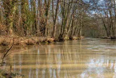 Programme de la Maison de l’Environnement septembre/décembre 2025