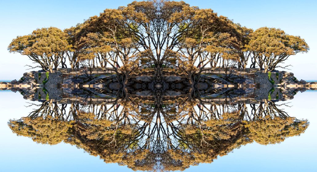 Exposition Carte Blanche