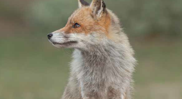 Programme de la Maison de l’Environnement Janvier à Mars 2026